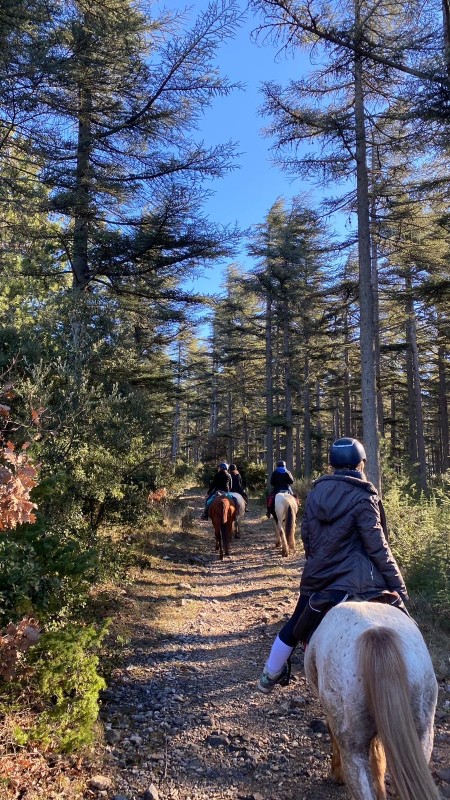 Devenir accompagnateur de tourisme équestre vers Avignon en Provence