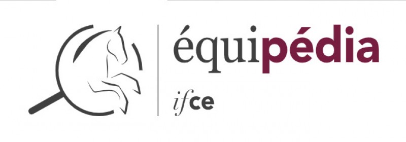 Institut Français du Cheval et de l'Equitation Uzès Equipedia - IFCE