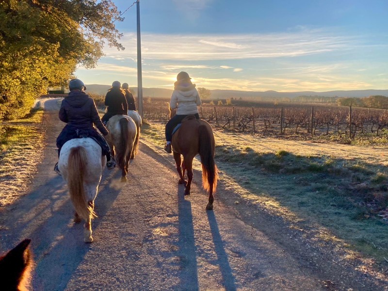 Comment devenir accompagnateur de tourisme équestre (ATE) dans le Vaucluse