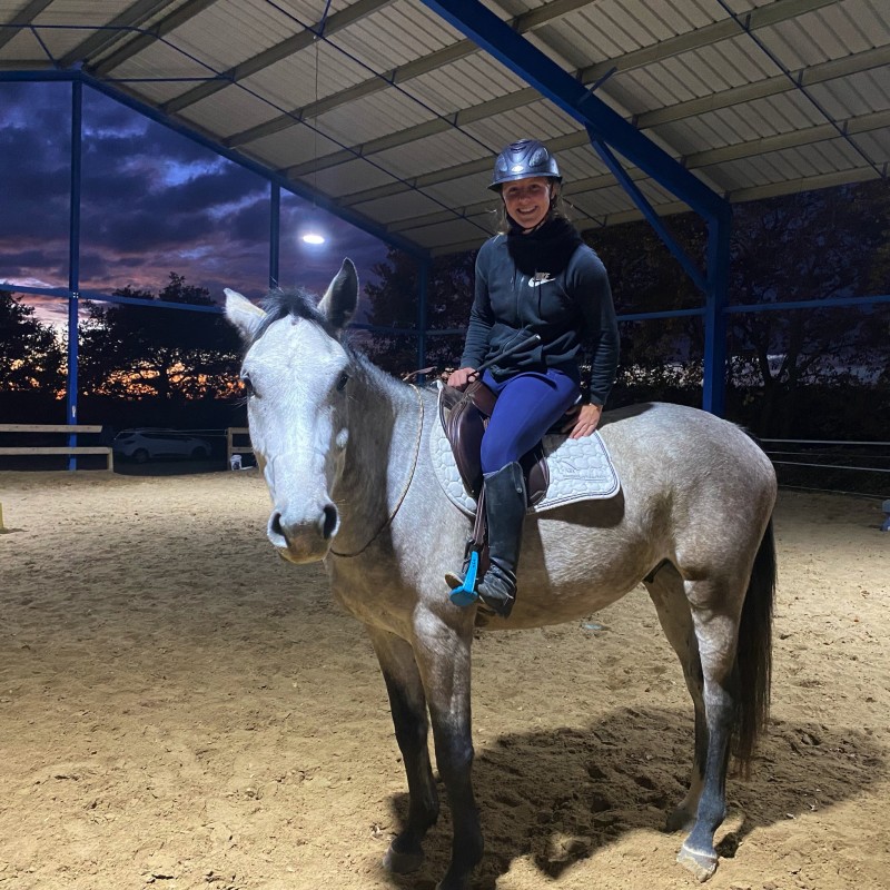 Se perfectionner en équitation éthologique avec des stages proche d'Avignon