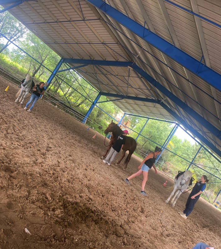 Entraînement avant les examens BFE-EE