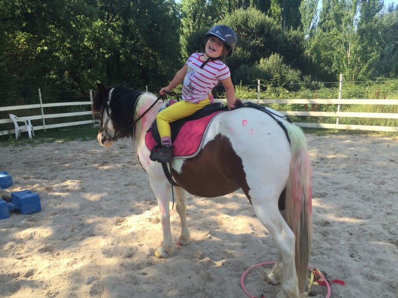 Comment devenir Animateur d'Equitation AE à Avignon dans le Vaucluse
