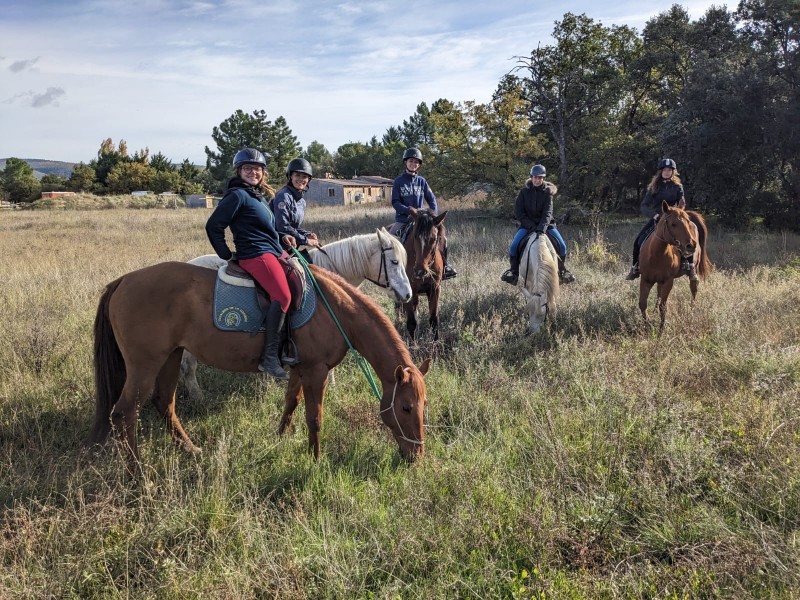 Accompagner des randonnées équestres : quel diplôme devez-vous avoir?